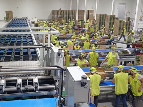 Equipo para Aguacate - vista 6