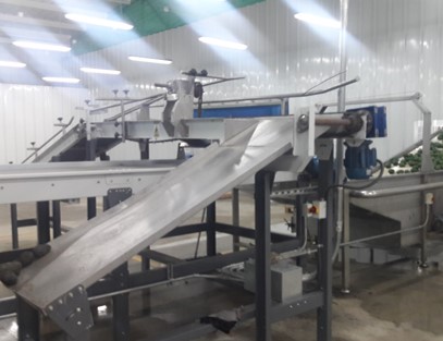 Equipo para Aguacate - vista 10