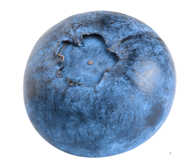 Equipo para Arandanos